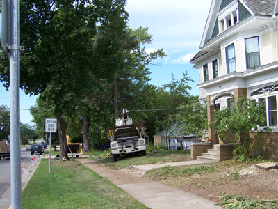 Tree Removal